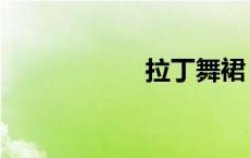 拉丁舞裙（拉丁裙）