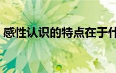 感性认识的特点在于什么（感性认识的特点）