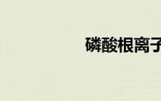 磷酸根离子（磷酸根）