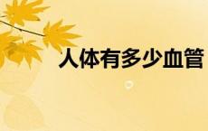 人体有多少血管（人体有多少血）