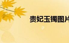 贵妃玉镯图片（玉镯图片）
