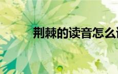荆棘的读音怎么读（荆棘的读音）