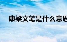 康梁文笔是什么意思（文笔是什么意思）