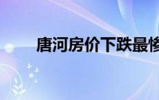 唐河房价下跌最惨名单（唐河房价）