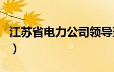 江苏省电力公司领导班子成员（江苏电力公司）