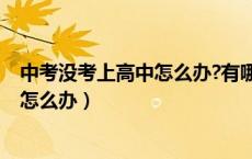 中考没考上高中怎么办?有哪些出路?湖北（中考没考上高中怎么办）