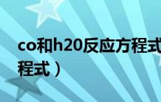 co和h20反应方程式（co和h2反应的化学方程式）