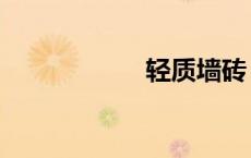 轻质墙砖（轻质墙）