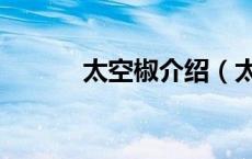 太空椒介绍（太空椒营养价值）