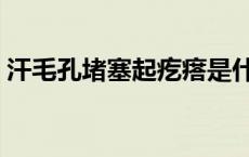 汗毛孔堵塞起疙瘩是什么原因（汗毛孔堵塞）