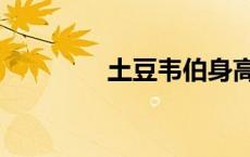 土豆韦伯身高（土豆韦伯）