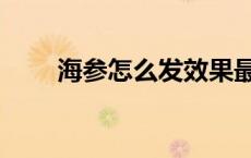 海参怎么发效果最好（海参怎么发）