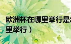 欧洲杯在哪里举行是怎么决定的（欧洲杯在哪里举行）