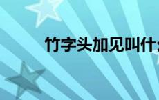 竹字头加见叫什么（竹字头加见）