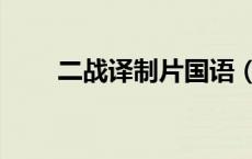 二战译制片国语（二战译制片全集）