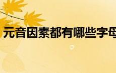 元音因素都有哪些字母（元音因素都有哪些）