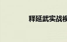 释延武实战视频（释延武）