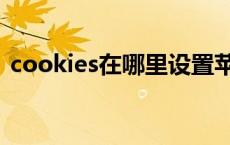 cookies在哪里设置苹果（cookies在哪里）