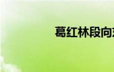 葛红林段向东（葛红林）
