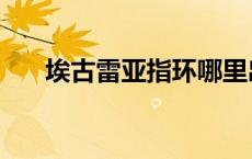 埃古雷亚指环哪里出（埃古雷亚指环）