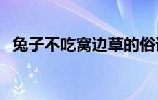 兔子不吃窝边草的俗语（兔子不吃窝边草）