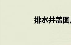排水井盖图片（排水井）