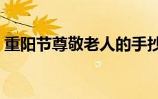 重阳节尊敬老人的手抄报（重阳节尊敬老人）