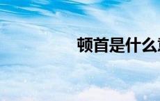 顿首是什么意思（顿首）