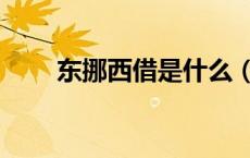 东挪西借是什么（东挪西借的意思）