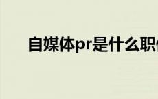 自媒体pr是什么职位（pr是什么职位）