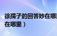 徐孺子的回答妙在哪里简写（徐孺子的回答妙在哪里）