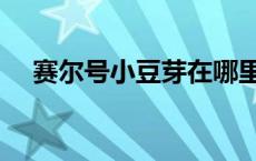 赛尔号小豆芽在哪里抓（赛尔号小豆芽）
