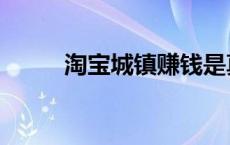 淘宝城镇赚钱是真的吗（淘宝城）