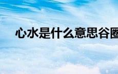 心水是什么意思谷圈（心水是什么意思）