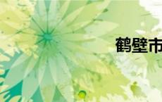 鹤壁市长信箱
