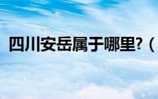 四川安岳属于哪里?（四川安岳属于哪个市）