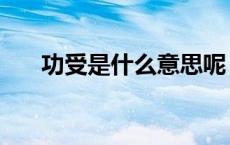 功受是什么意思呢（功受是什么意思）
