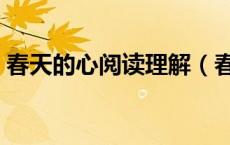 春天的心阅读理解（春天的心阅读答案王蒙）