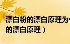 漂白粉的漂白原理为什么生成碳酸钙（漂白粉的漂白原理）
