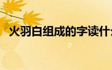 火羽白组成的字读什么（火羽白是什么字）