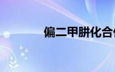 偏二甲肼化合价（偏二甲肼）