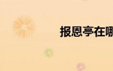 报恩亭在哪（报恩亭）