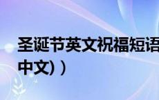 圣诞节英文祝福短语（圣诞节英文祝福语(带中文)）