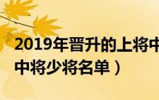2019年晋升的上将中将少将（2019现役上将中将少将名单）