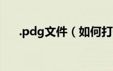 .pdg文件（如何打开pdg格式的文件）