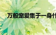 万般宠爱集于一身什么意思（万般宠爱）