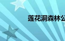 莲花洞森林公园（莲花洞）