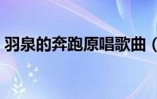 羽泉的奔跑原唱歌曲（羽泉奔跑歌词完整版）