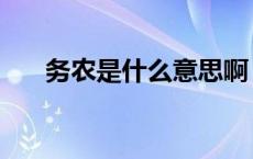 务农是什么意思啊（务农是什么意思）