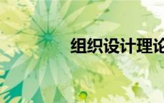 组织设计理论（设计理论）